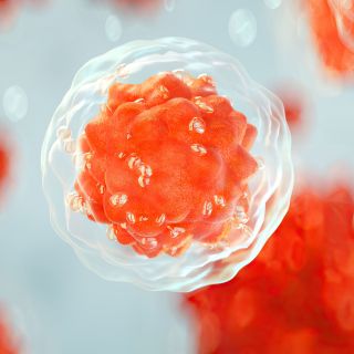 Csökkenti a súlyos betegségek kockázatát